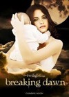 The Twilight Saga Breaking Dawn - Part 1 (2011)6.jpg
